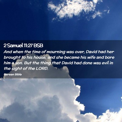 Picture 02 - 2 Samuel 11:27 BSB - And when the time of mourning was over, David had - Bible Verse Picture
