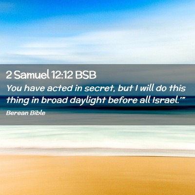 Picture 02 - 2 Samuel 12:12 BSB - You have acted in secret, but I will do this - Bible Verse Picture