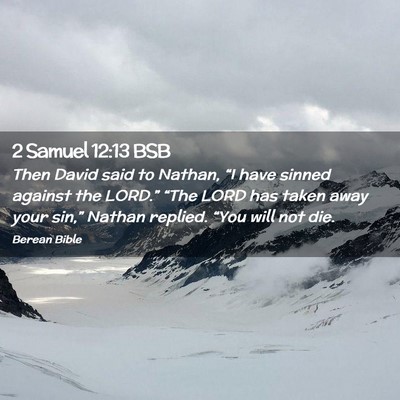 Picture 02 - 2 Samuel 12:13 BSB - Then David said to Nathan, “I have sinned - Bible Verse Picture