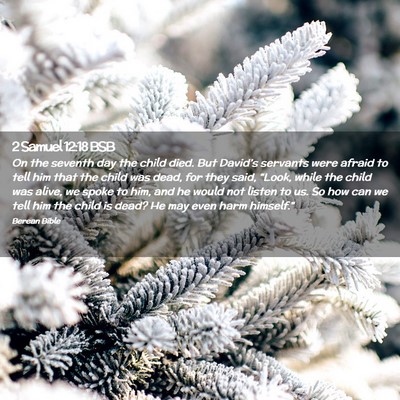 Picture 02 - 2 Samuel 12:18 BSB - On the seventh day the child died. But David’s - Bible Verse Picture