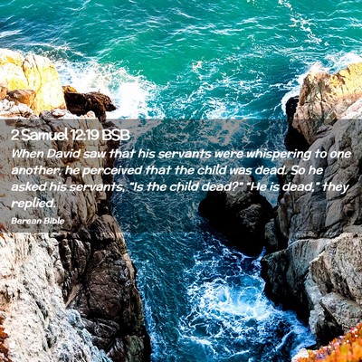 Picture 02 - 2 Samuel 12:19 BSB - When David saw that his servants were whispering - Bible Verse Picture