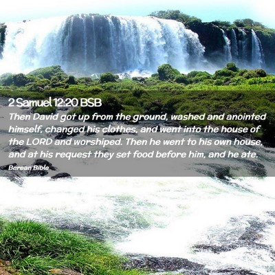 Picture 02 - 2 Samuel 12:20 BSB - Then David got up from the ground, washed and - Bible Verse Picture