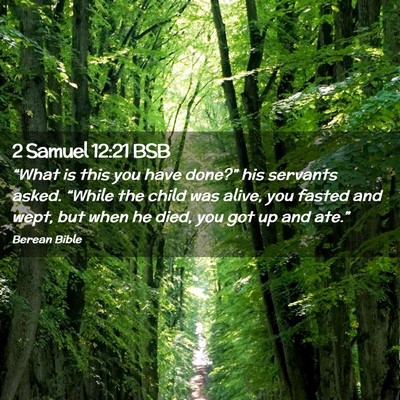 Picture 02 - 2 Samuel 12:21 BSB - “What is this you have done?” his servants - Bible Verse Picture
