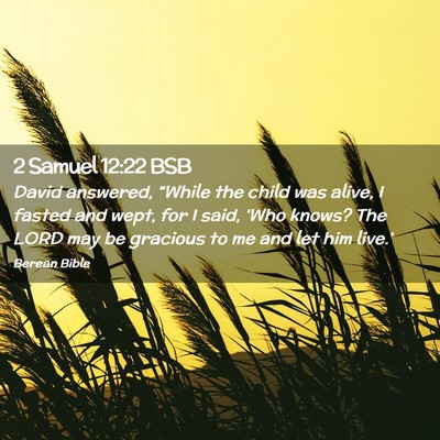 Picture 02 - 2 Samuel 12:22 BSB - David answered, “While the child was alive, I - Bible Verse Picture