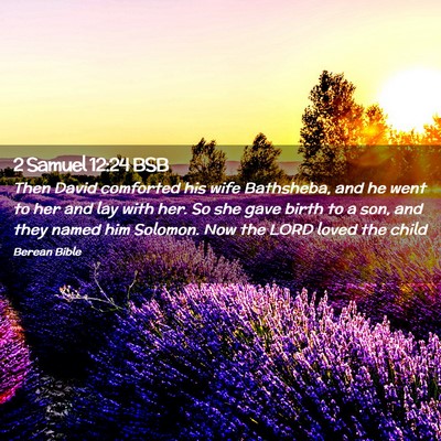 Picture 02 - 2 Samuel 12:24 BSB - Then David comforted his wife Bathsheba, and he - Bible Verse Picture