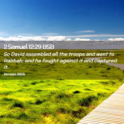 Picture 02 - 2 Samuel 12:29 BSB - So David assembled all the troops and went to - Bible Verse Picture