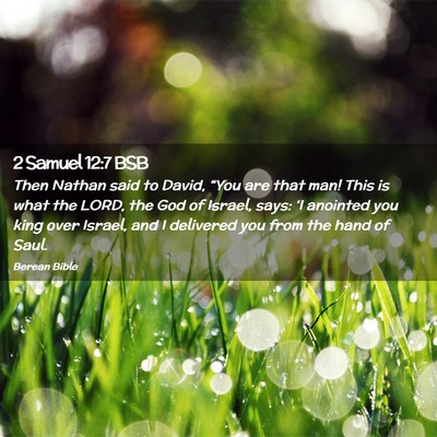 Picture 02 - 2 Samuel 12:7 BSB - Then Nathan said to David, “You are that man! - Bible Verse Picture
