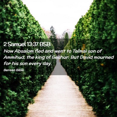Picture 02 - 2 Samuel 13:37 BSB - Now Absalom fled and went to Talmai son of - Bible Verse Picture