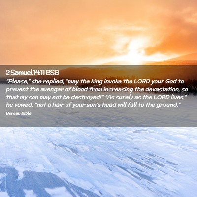 Picture 02 - 2 Samuel 14:11 BSB - “Please,” she replied, “may the king invoke - Bible Verse Picture