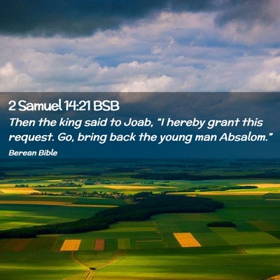 Picture 02 - 2 Samuel 14:21 BSB - Then the king said to Joab, “I hereby grant - Bible Verse Picture