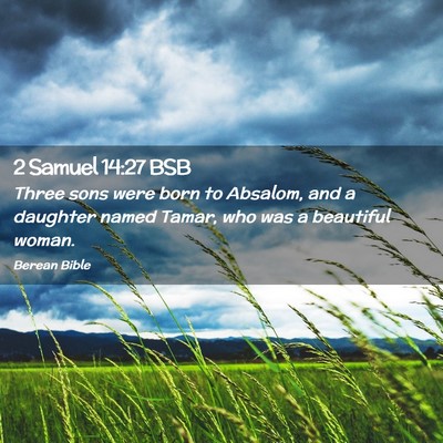 Picture 02 - 2 Samuel 14:27 BSB - Three sons were born to Absalom, and a daughter - Bible Verse Picture