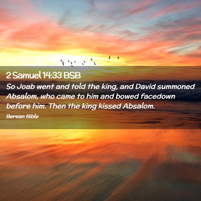 Picture 02 - 2 Samuel 14:33 BSB - So Joab went and told the king, and David - Bible Verse Picture