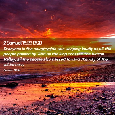 Picture 02 - 2 Samuel 15:23 BSB - Everyone in the countryside was weeping loudly as - Bible Verse Picture