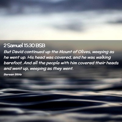 Picture 02 - 2 Samuel 15:30 BSB - But David continued up the Mount of Olives, - Bible Verse Picture