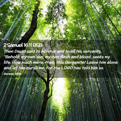 Picture 02 - 2 Samuel 16:11 BSB - Then David said to Abishai and to all his - Bible Verse Picture