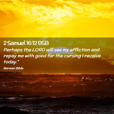 Picture 02 - 2 Samuel 16:12 BSB - Perhaps the LORD will see my affliction and repay - Bible Verse Picture