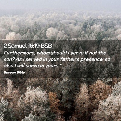 Picture 02 - 2 Samuel 16:19 BSB - Furthermore, whom should I serve if not the son? - Bible Verse Picture