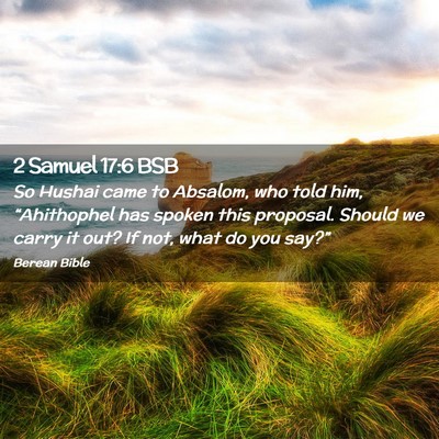 Picture 02 - 2 Samuel 17:6 BSB - So Hushai came to Absalom, who told him, - Bible Verse Picture