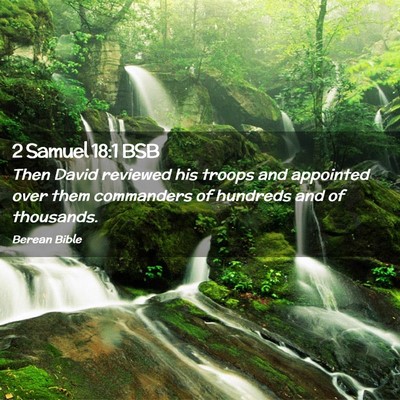 Picture 02 - 2 Samuel 18:1 BSB - Then David reviewed his troops and appointed over - Bible Verse Picture