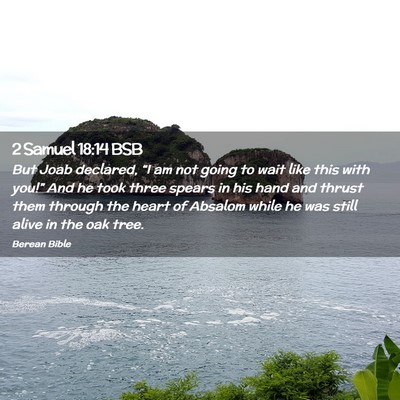 Picture 02 - 2 Samuel 18:14 BSB - But Joab declared, “I am not going to wait like - Bible Verse Picture