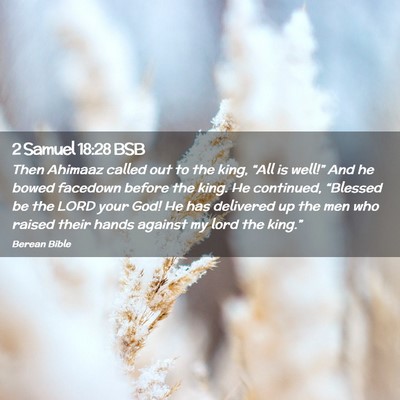 Picture 02 - 2 Samuel 18:28 BSB - Then Ahimaaz called out to the king, “All is - Bible Verse Picture