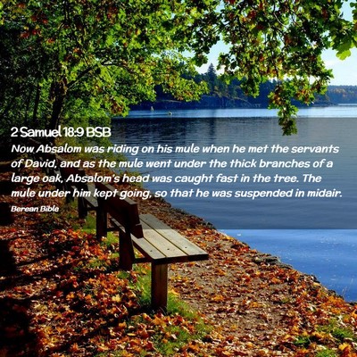 Picture 02 - 2 Samuel 18:9 BSB - Now Absalom was riding on his mule when he met - Bible Verse Picture