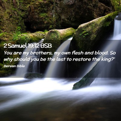 Picture 02 - 2 Samuel 19:12 BSB - You are my brothers, my own flesh and blood. So - Bible Verse Picture