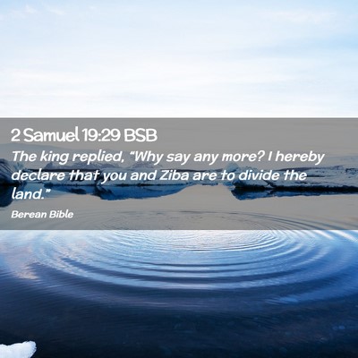 Picture 02 - 2 Samuel 19:29 BSB - The king replied, “Why say any more? I hereby - Bible Verse Picture