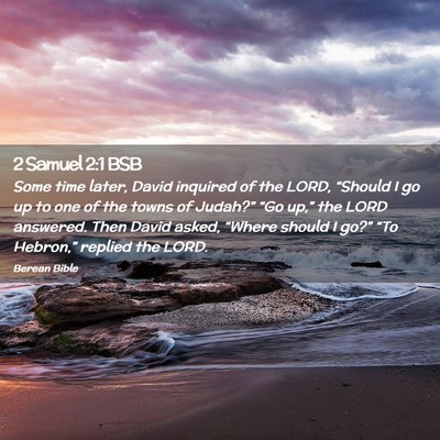 Picture 02 - 2 Samuel 2:1 BSB - Some time later, David inquired of the LORD, - Bible Verse Picture