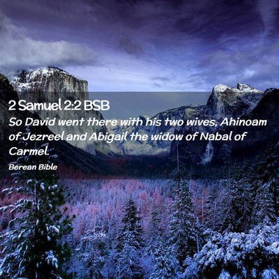 Picture 02 - 2 Samuel 2:2 BSB - So David went there with his two wives, Ahinoam - Bible Verse Picture