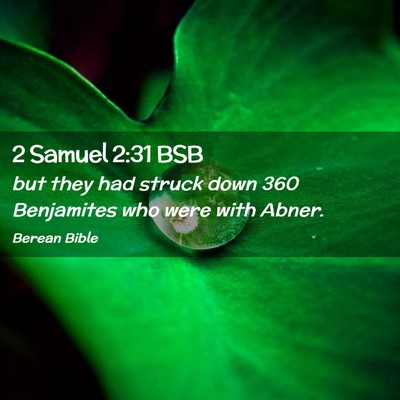 Picture 02 - 2 Samuel 2:31 BSB - but they had struck down 360 Benjamites who were - Bible Verse Picture