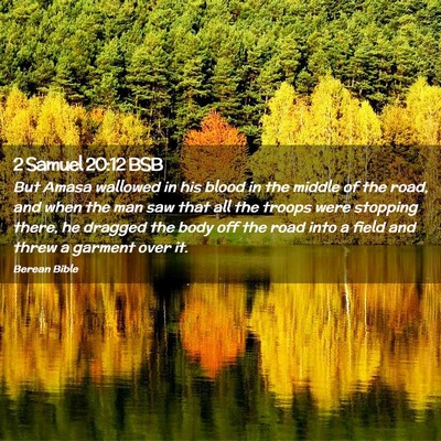 Picture 02 - 2 Samuel 20:12 BSB - But Amasa wallowed in his blood in the middle of - Bible Verse Picture