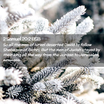 Picture 02 - 2 Samuel 20:2 BSB - So all the men of Israel deserted David to follow - Bible Verse Picture
