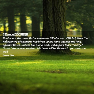 Picture 02 - 2 Samuel 20:21 BSB - That is not the case. But a man named Sheba son - Bible Verse Picture
