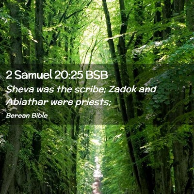 Picture 02 - 2 Samuel 20:25 BSB - Sheva was the scribe; Zadok and Abiathar were - Bible Verse Picture