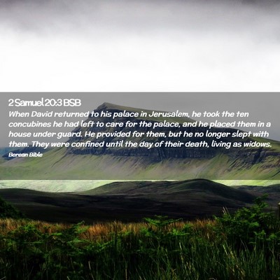 Picture 02 - 2 Samuel 20:3 BSB - When David returned to his palace in Jerusalem, - Bible Verse Picture
