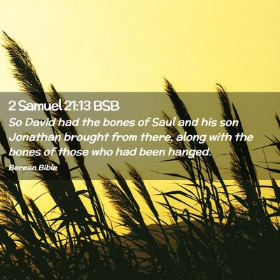 Picture 02 - 2 Samuel 21:13 BSB - So David had the bones of Saul and his son - Bible Verse Picture