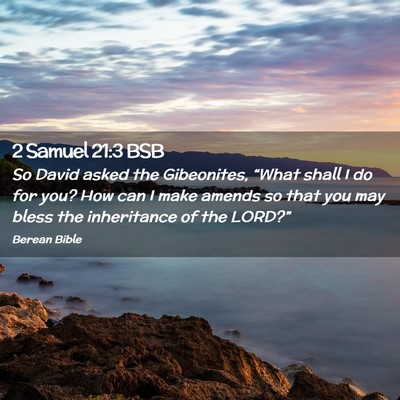 Picture 02 - 2 Samuel 21:3 BSB - So David asked the Gibeonites, “What shall I do - Bible Verse Picture