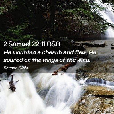Picture 02 - 2 Samuel 22:11 BSB - He mounted a cherub and flew; He soared on the - Bible Verse Picture