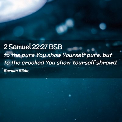 Picture 02 - 2 Samuel 22:27 BSB - to the pure You show Yourself pure, but to the - Bible Verse Picture