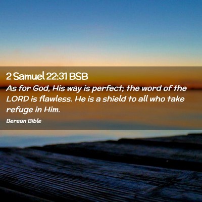 Picture 02 - 2 Samuel 22:31 BSB - As for God, His way is perfect; the word of the - Bible Verse Picture