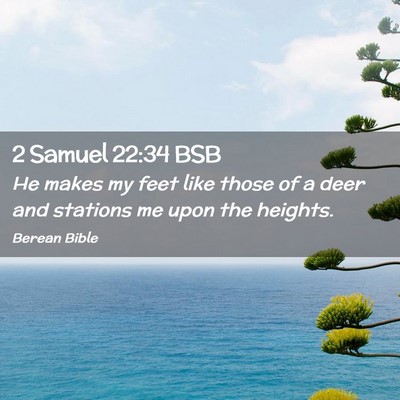 Picture 02 - 2 Samuel 22:34 BSB - He makes my feet like those of a deer and - Bible Verse Picture