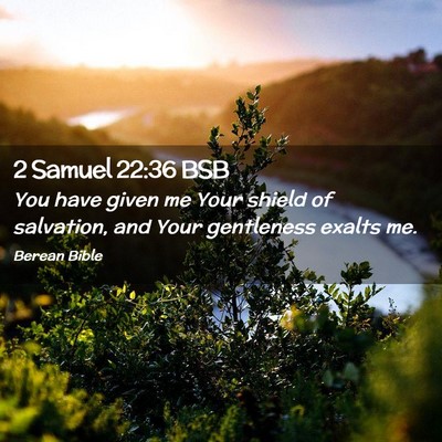 Picture 02 - 2 Samuel 22:36 BSB - You have given me Your shield of salvation, and - Bible Verse Picture