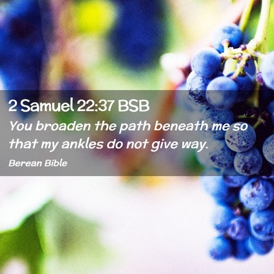 Picture 02 - 2 Samuel 22:37 BSB - You broaden the path beneath me so that my ankles - Bible Verse Picture