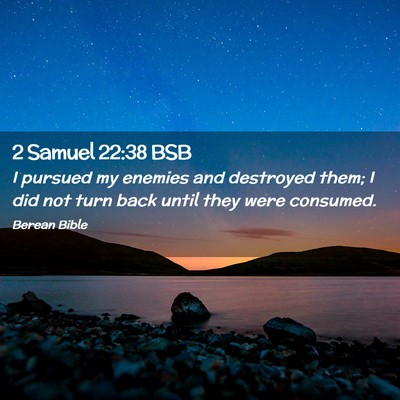 Picture 02 - 2 Samuel 22:38 BSB - I pursued my enemies and destroyed them; I did - Bible Verse Picture