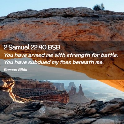 Picture 02 - 2 Samuel 22:40 BSB - You have armed me with strength for battle; You - Bible Verse Picture