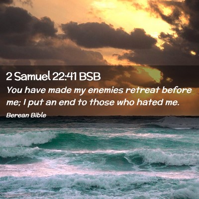 Picture 02 - 2 Samuel 22:41 BSB - You have made my enemies retreat before me; I put - Bible Verse Picture