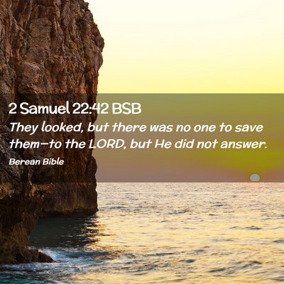 Picture 02 - 2 Samuel 22:42 BSB - They looked, but there was no one to save - Bible Verse Picture