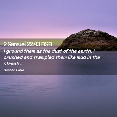 Picture 02 - 2 Samuel 22:43 BSB - I ground them as the dust of the earth; I crushed - Bible Verse Picture