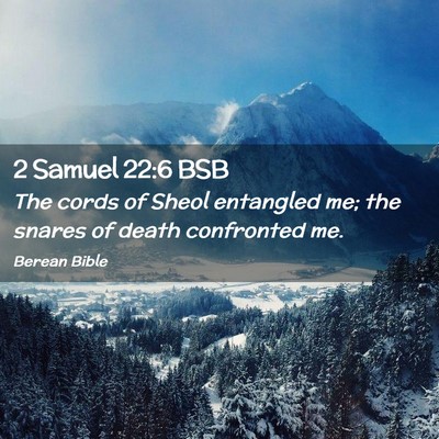 Picture 02 - 2 Samuel 22:6 BSB - The cords of Sheol entangled me; the snares of - Bible Verse Picture